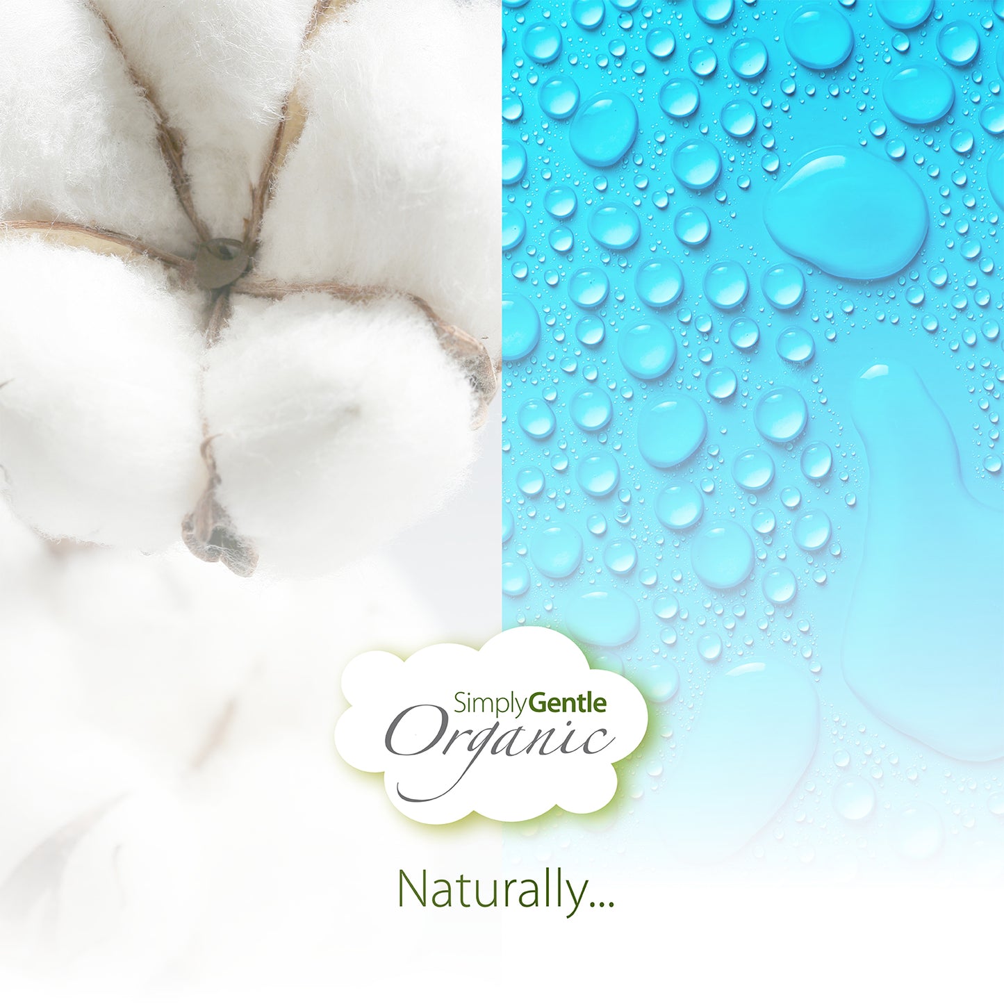 Simply Gentle Organic Baby Water Wipes